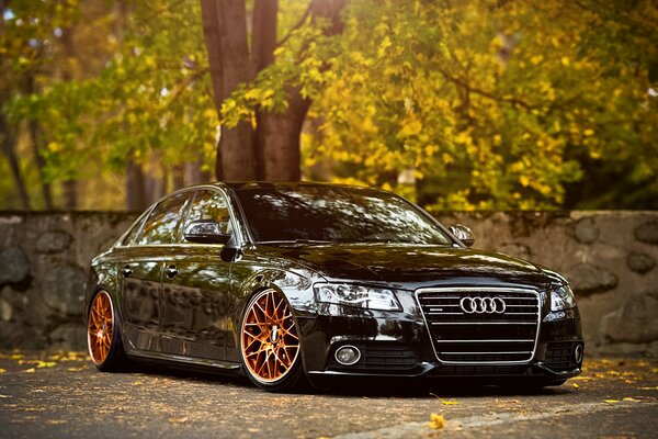 Hermoso coche negro Audi en el bosque de otoño