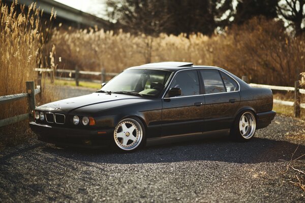 Black BMW on a rustic background