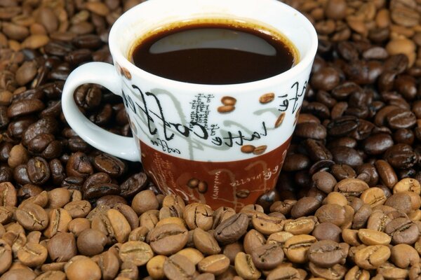 Qui n aime pas le café tout le monde aime parfumé je veux boire maintenant mais je ne peux pas le temps donné