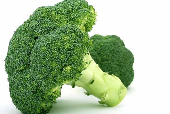 Green fresh broccoli cabbage