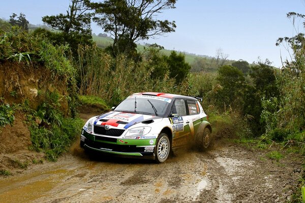 Skoda Fabia is not a car for everyone. Suitable for those who love speed, dirt and motorsport