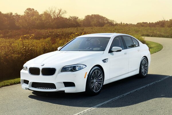 White BMV m5 on a country road