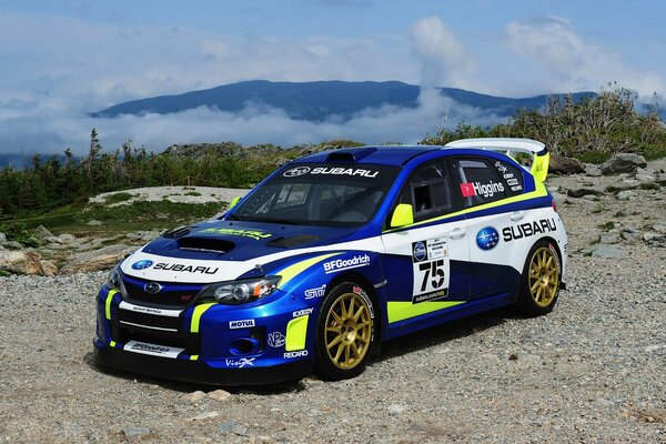 Subaru rally car on the background of mountains