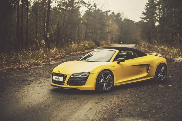 Yellow audi in the forest with a beautiful filter