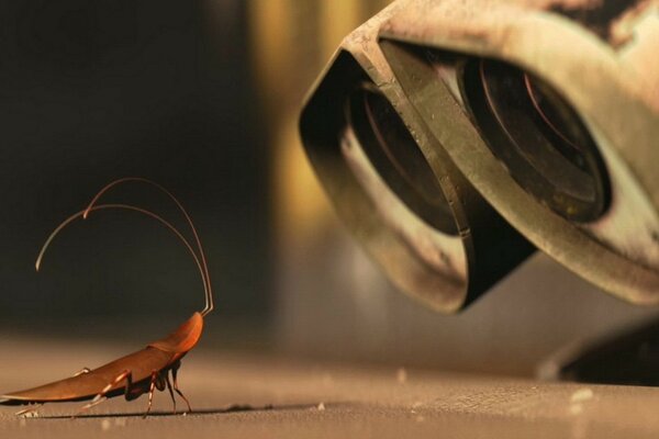 Wally and cockroach looking at each other