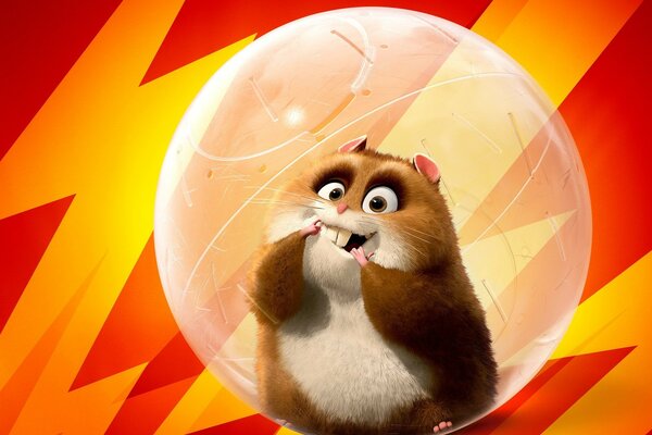 Hamster in a bubble on a red background