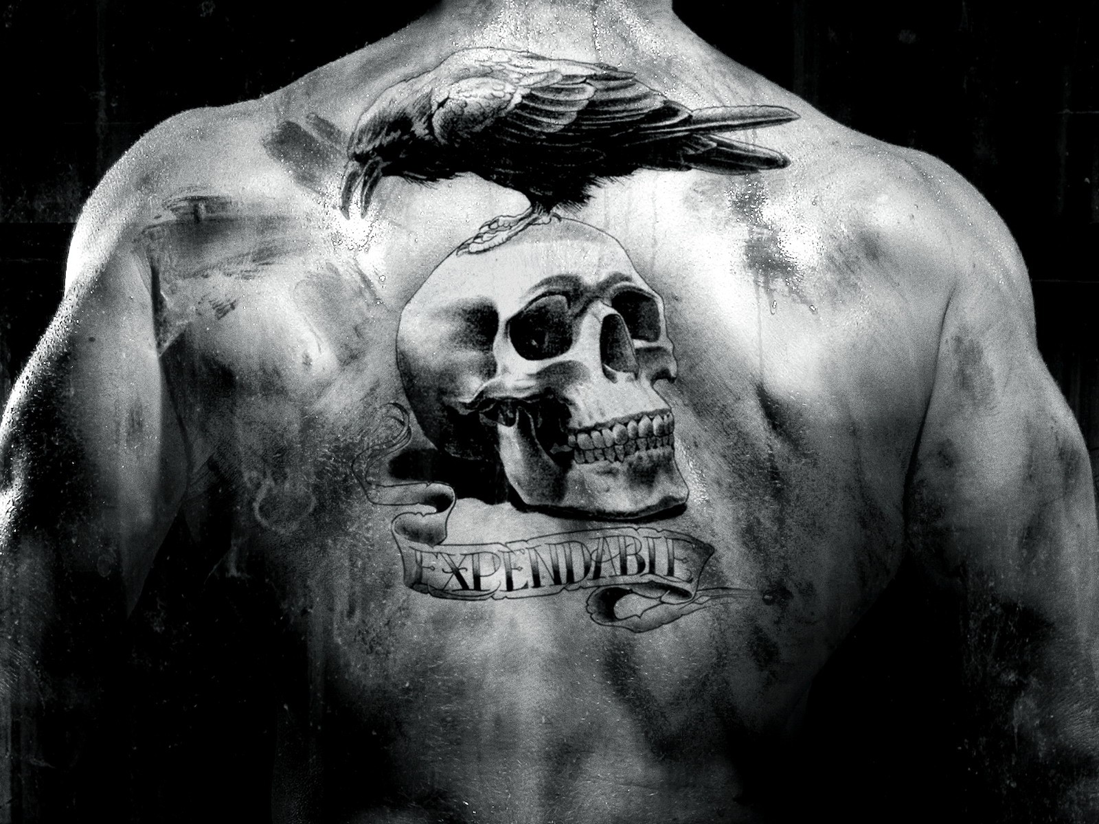 imperturbable the expendables film raven skull spin tattoos black and white