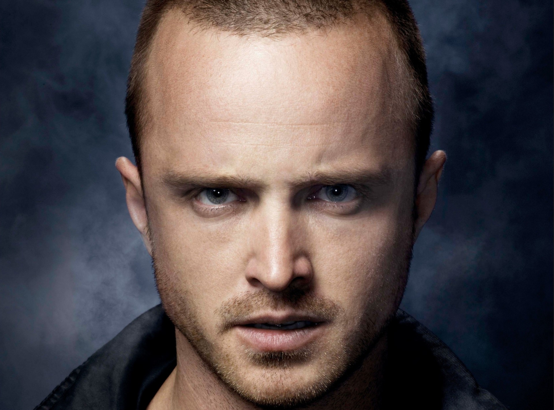 bristles face views aaron paul actor