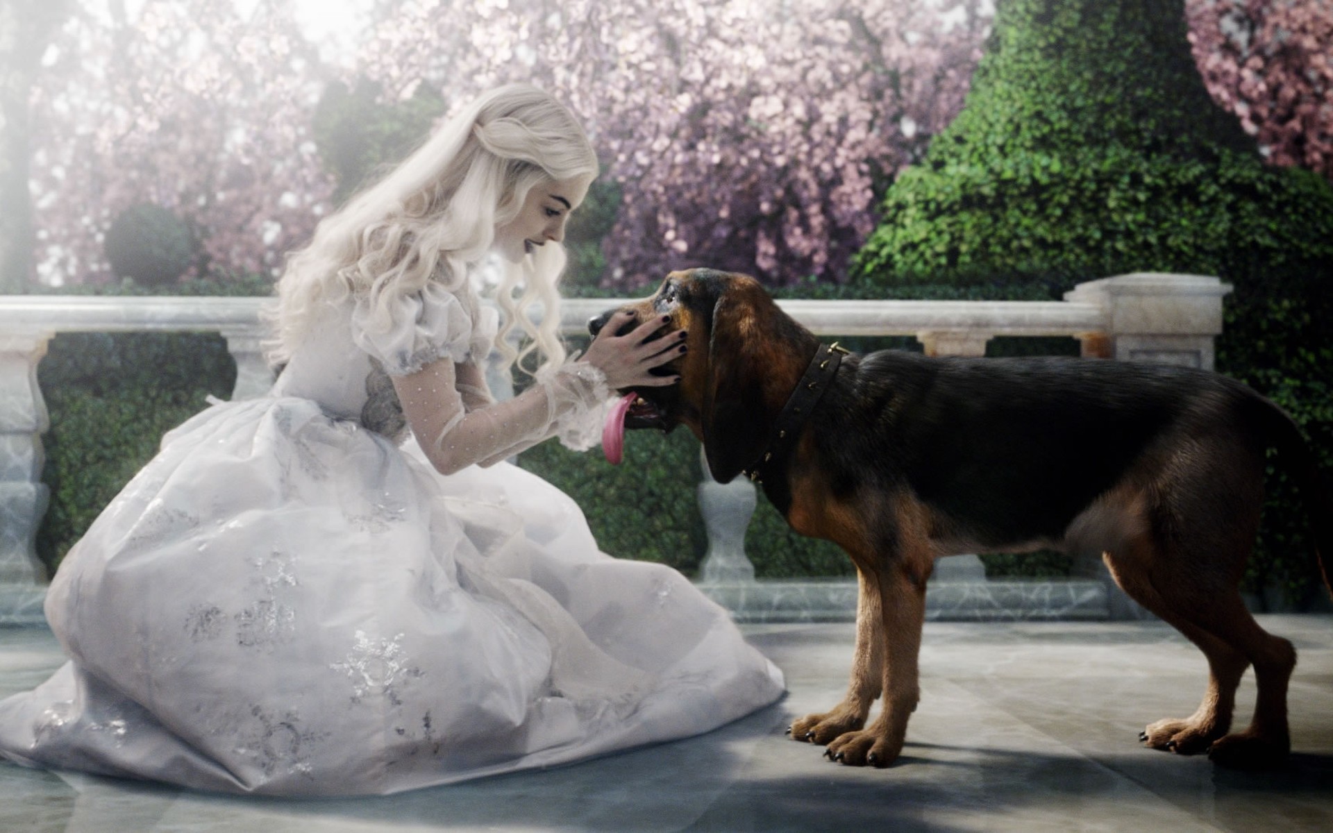 alice in wonderland mia wasikowska dog