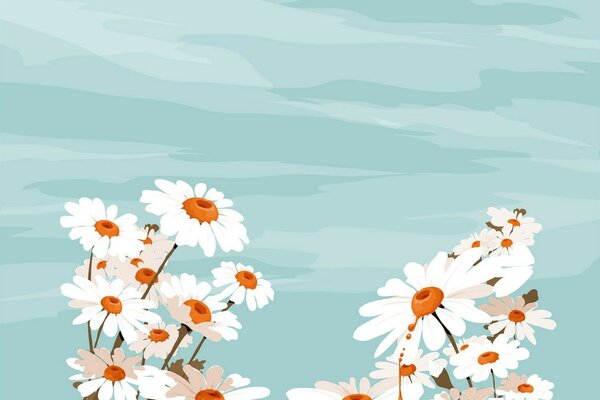 Vector. Daisies on a blue background