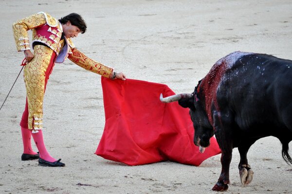 Spanish bullfighting. Bull and bullfighter confrontation