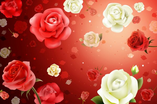 Background with red and white roses