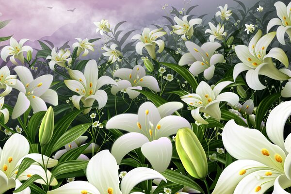 White lilies are drawn to the light