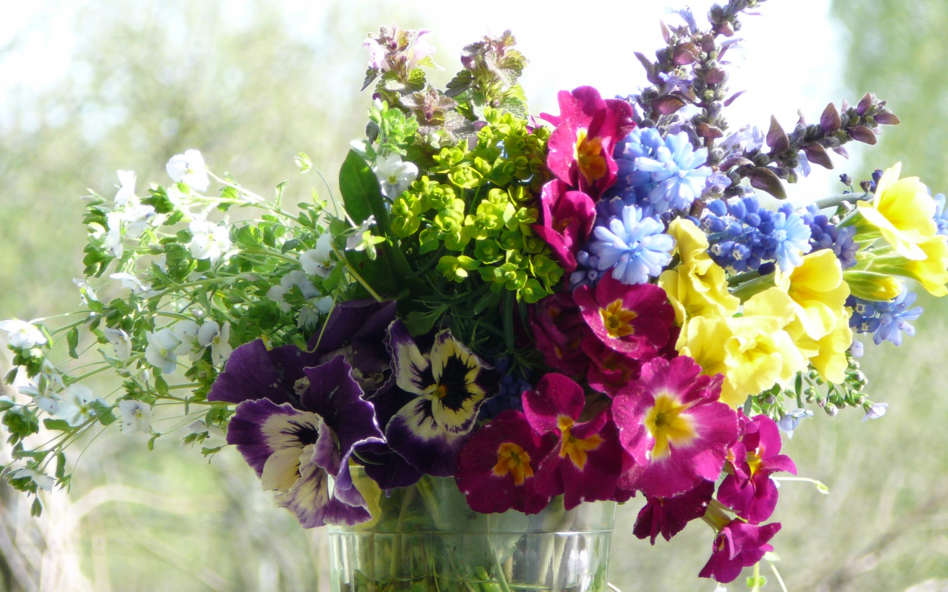 bouquet viole del pensiero estate