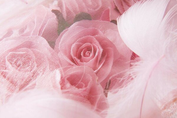 Ramo de rosas Rosadas con plumas