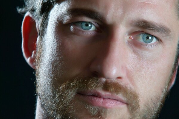 Photo of actor Gerard Butler