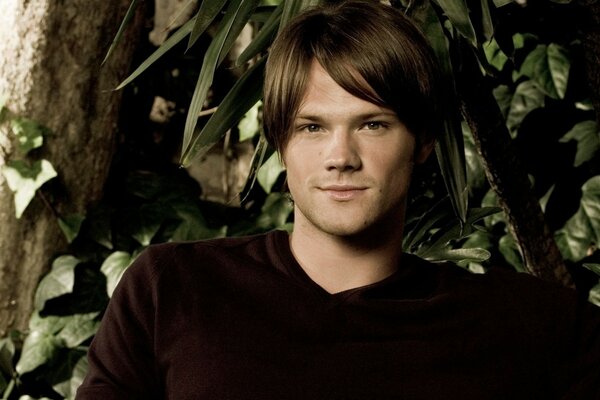 Handsome American actor padalecki