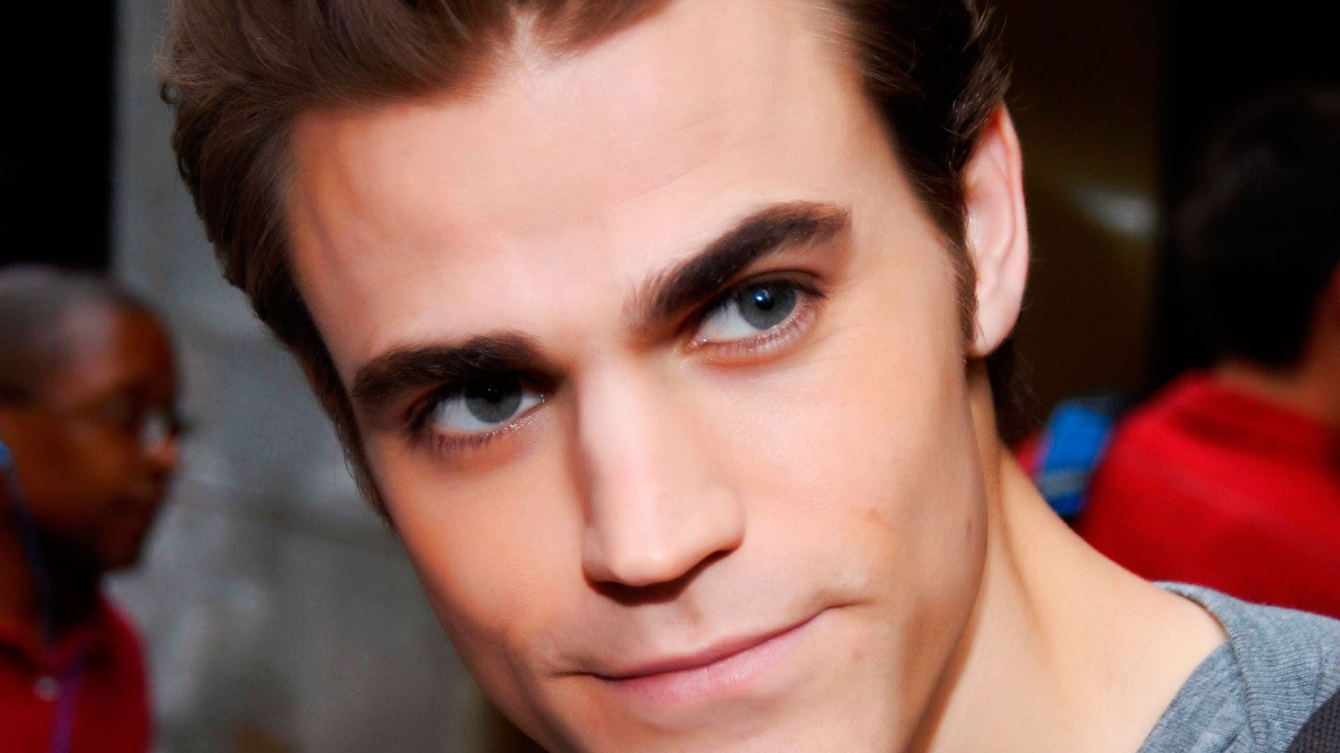 paul wesley the vampire diaries macro attore