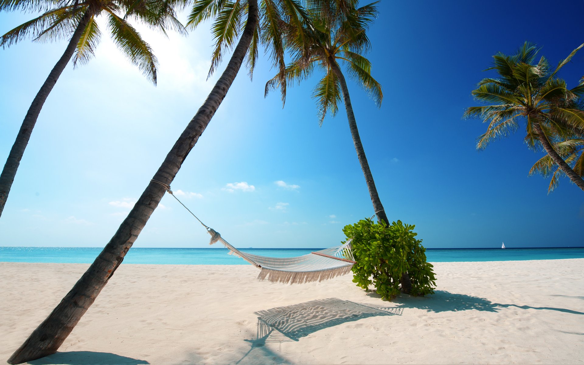 paysage côte plages sable matin ciel soleil lumière rayons du soleil été chaleur palmiers palmier arbre plante plantes eau mer océan loisirs se détendre hamac