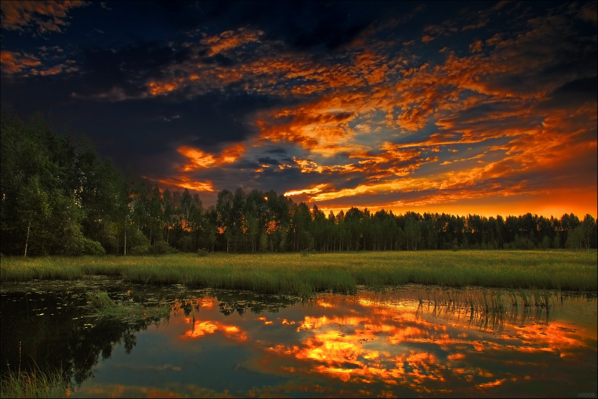 zachód słońca las wieczór natura lato