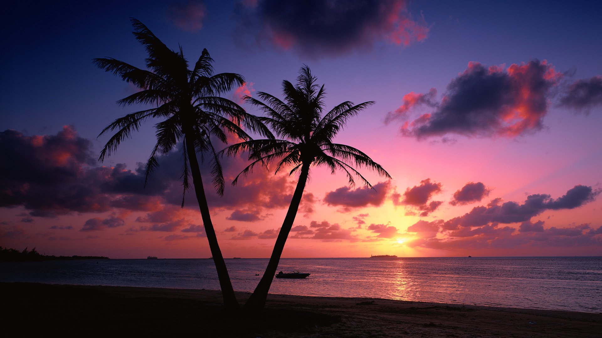 paysage plage côte paysage palmiers soir coucher de soleil mer nuages