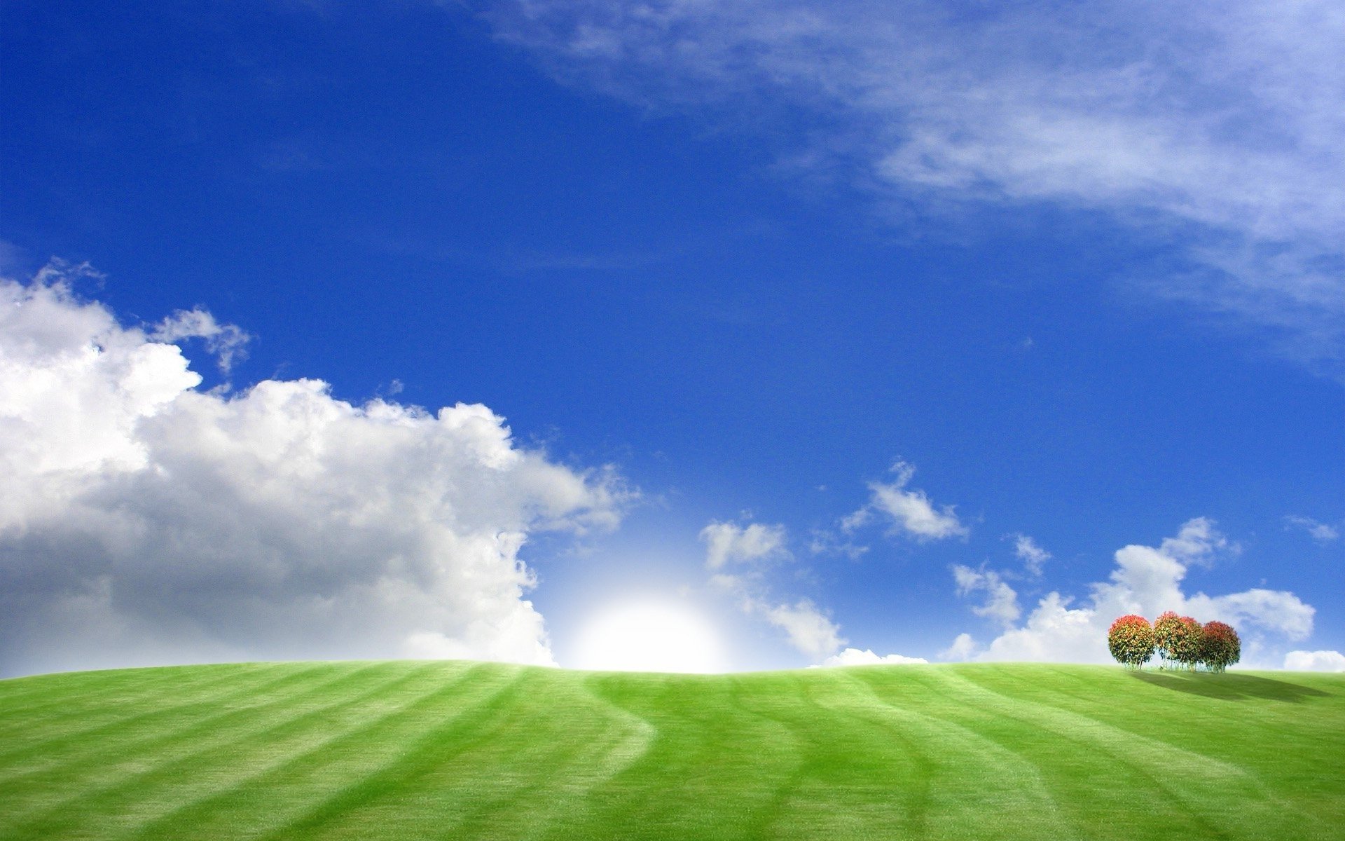 landscape tree grass hills of the field the field sky