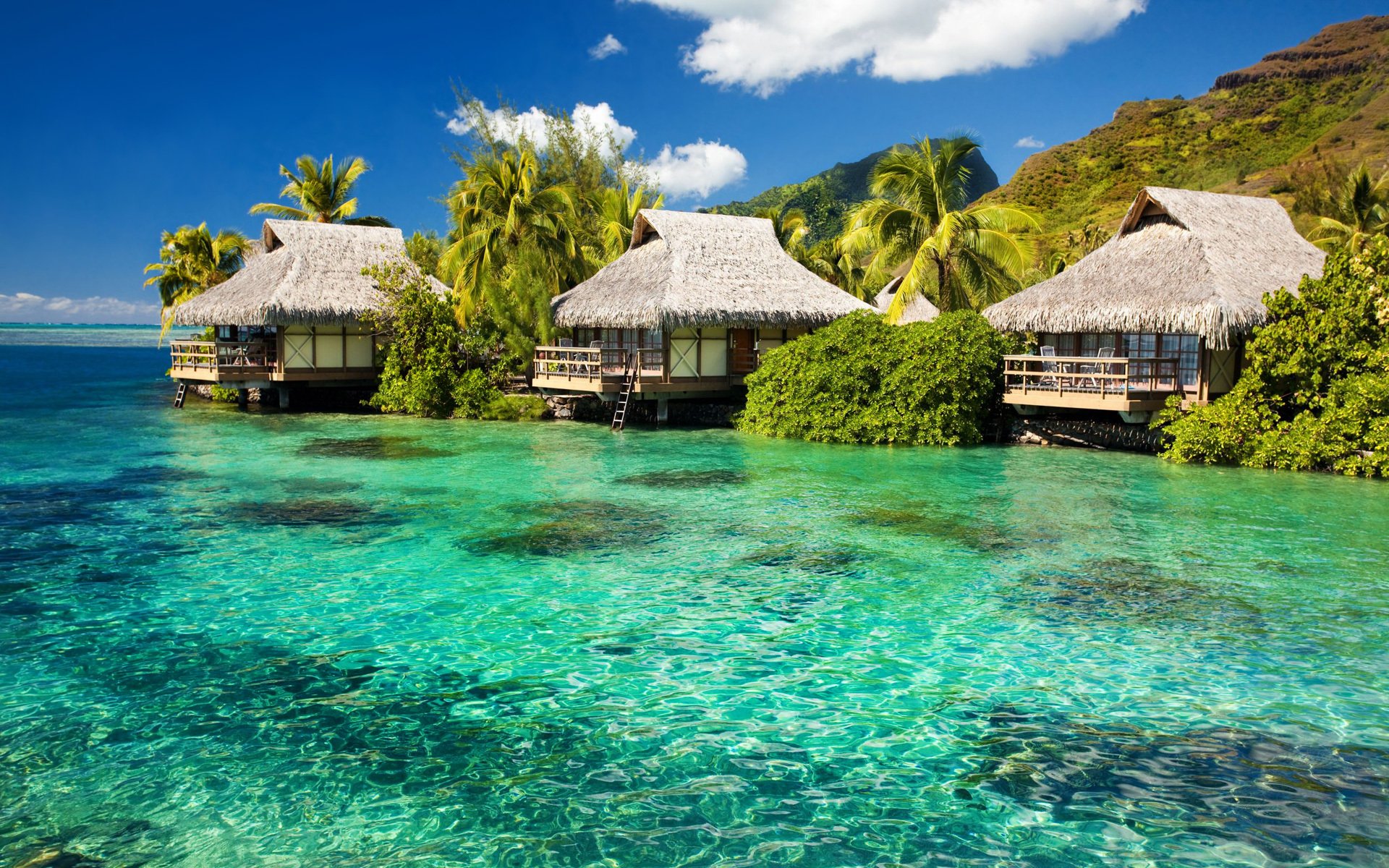 oceano azzurro bungalow isola palme verde