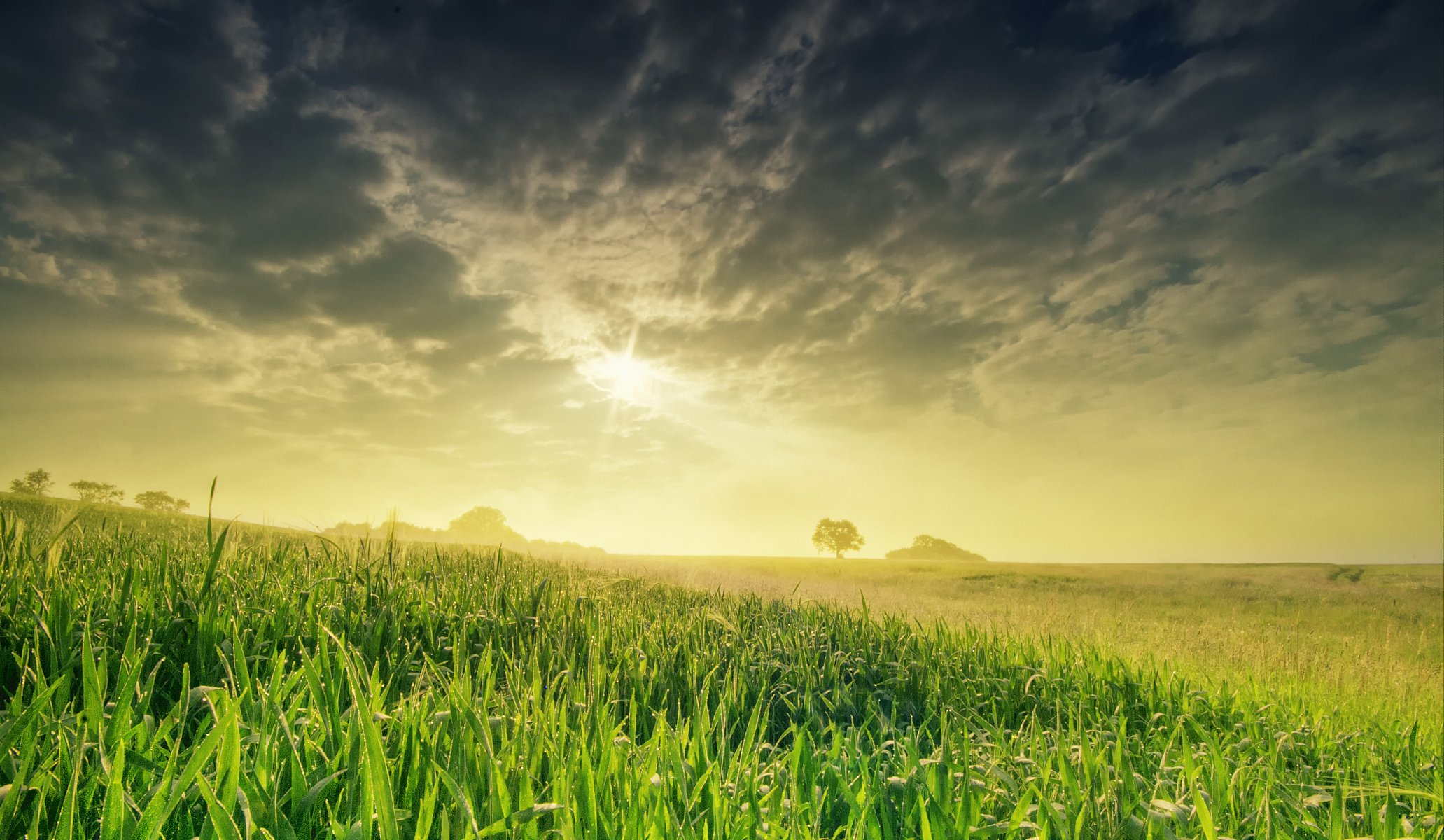 natura wiosna pole niebo słońce