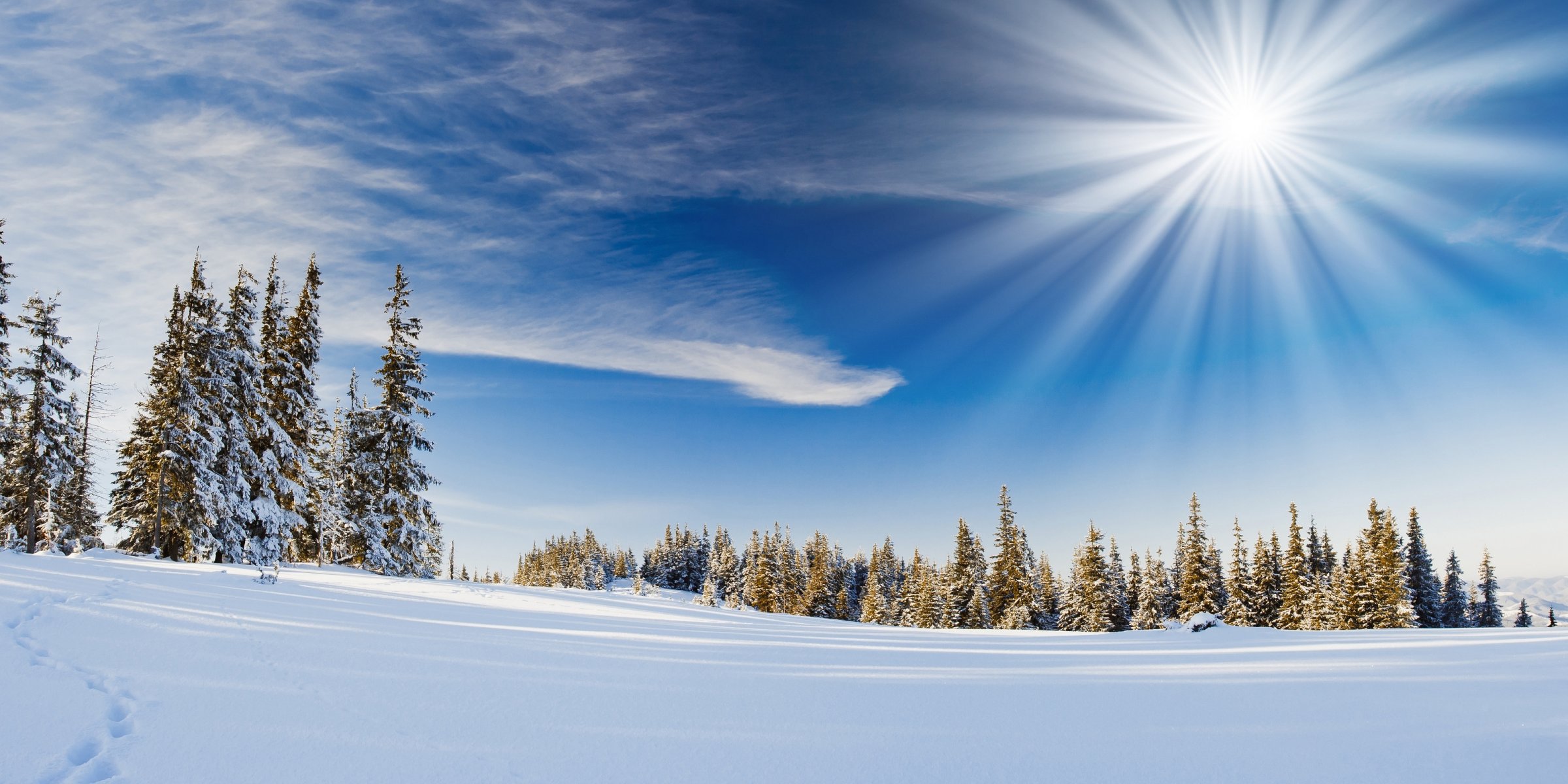 double multi paysage nature hiver neige épinette sapin arbre arbres collines vue lieux