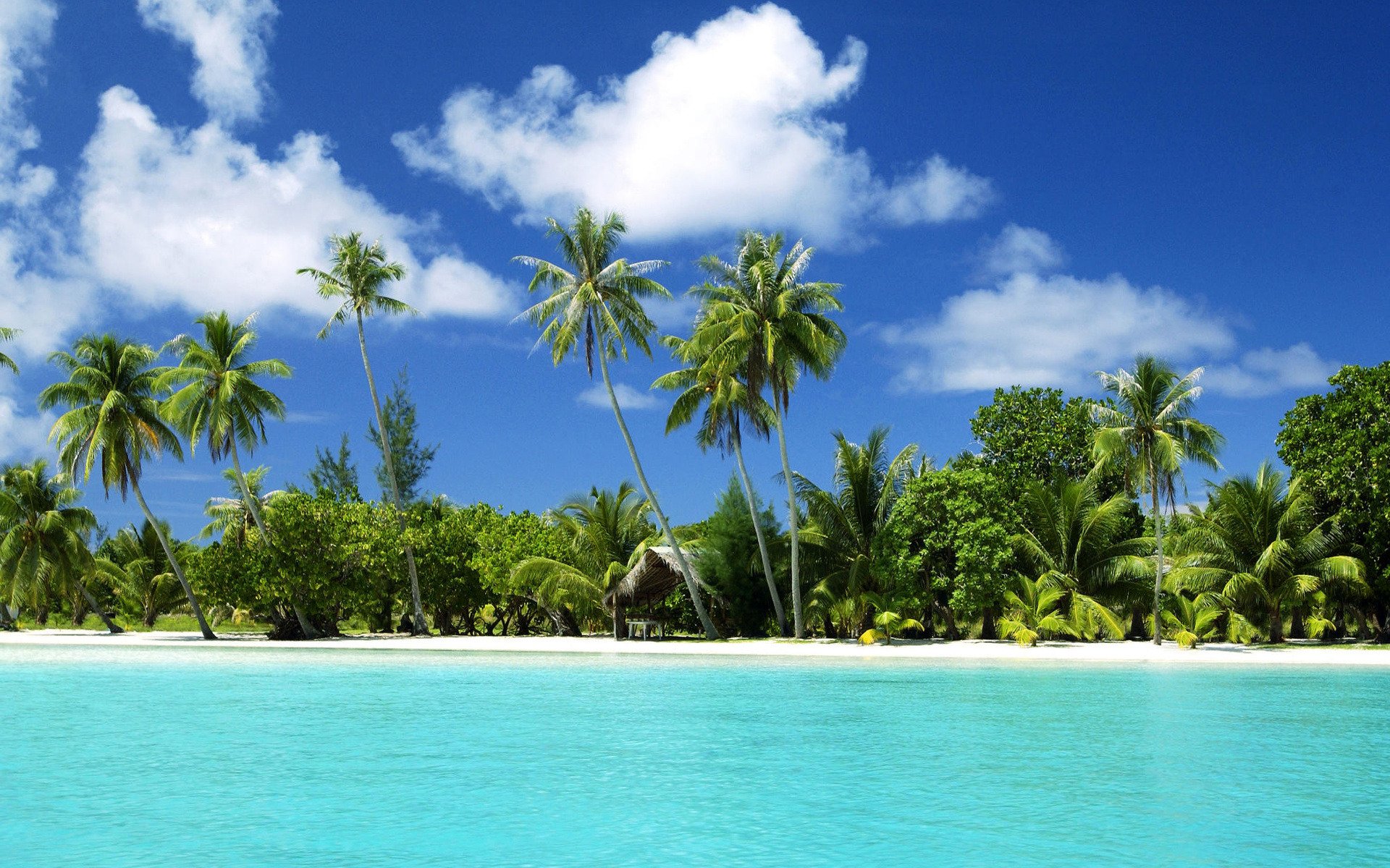 tropische insel strand.meer ozean wasser sand palmen