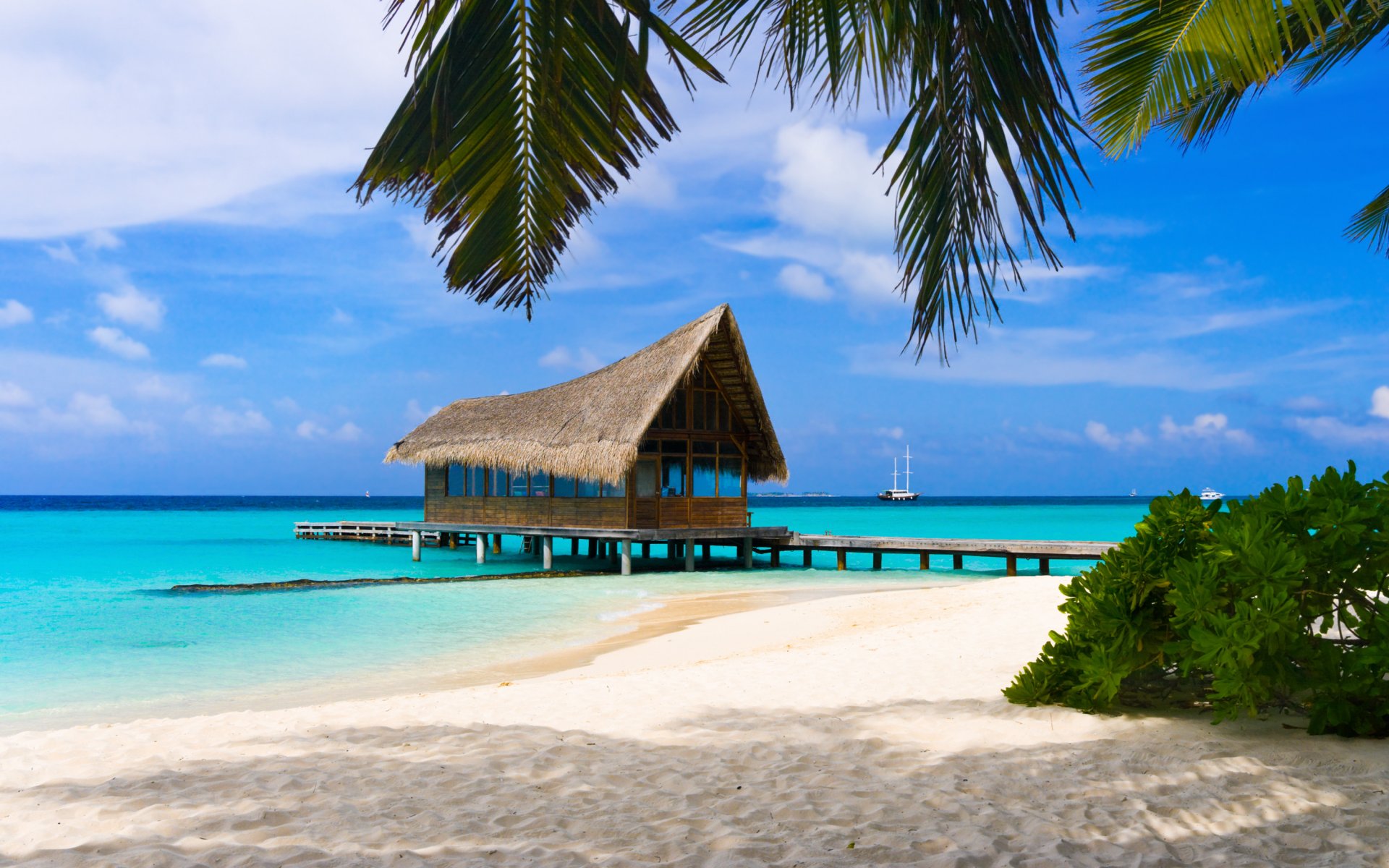 bahamas inseln strand sand sommer urlaub landschaften wasser meer ozean palmen blätter bäume häuser häuser