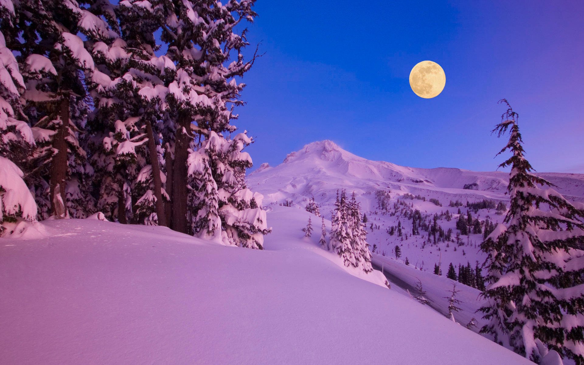 nature hiver neige montagnes forêts arbres nuit lune mois