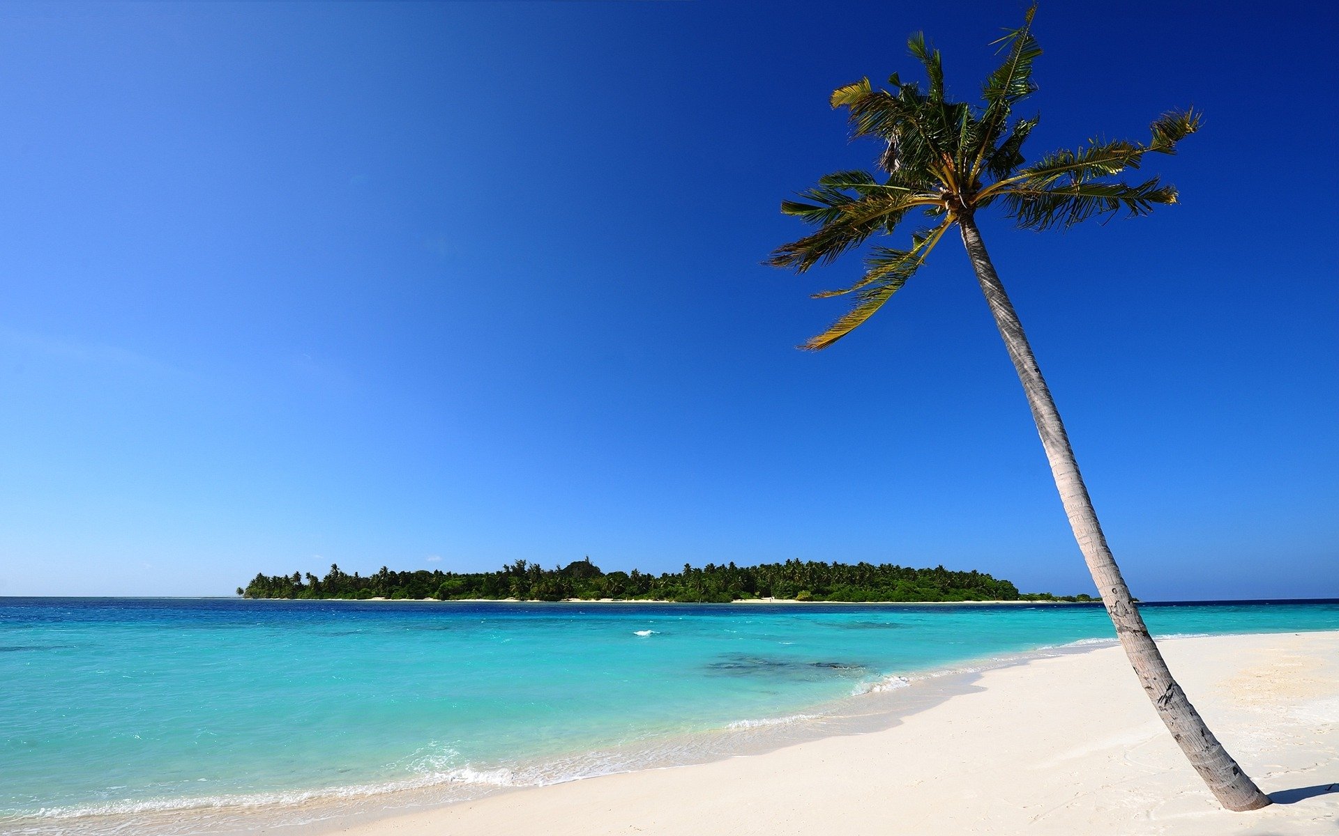 landscapes water shore sea ocean islands sand tree trees leaves palm palm trees plants summer heat places sky