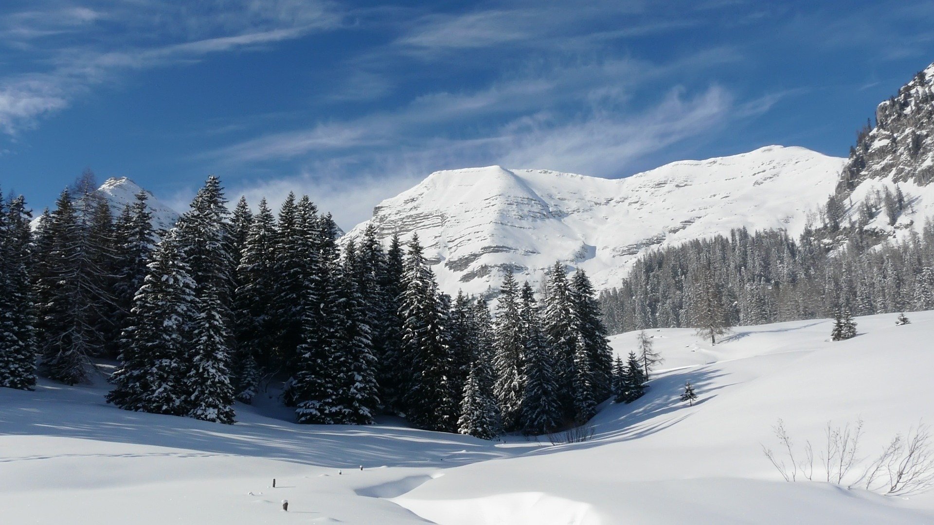 winter schnee wald berge