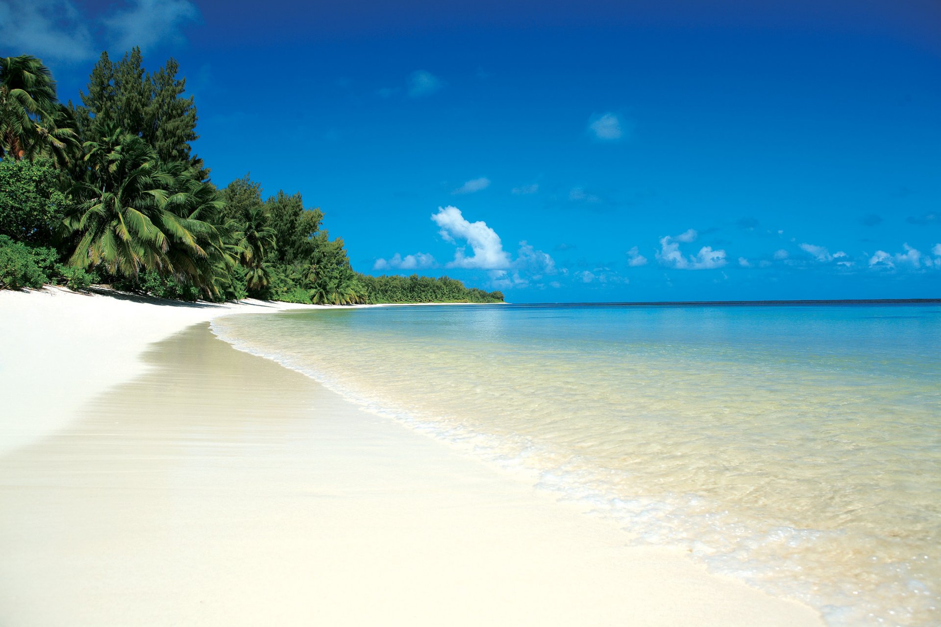 tropici mare spiaggia sabbia palme nuvole