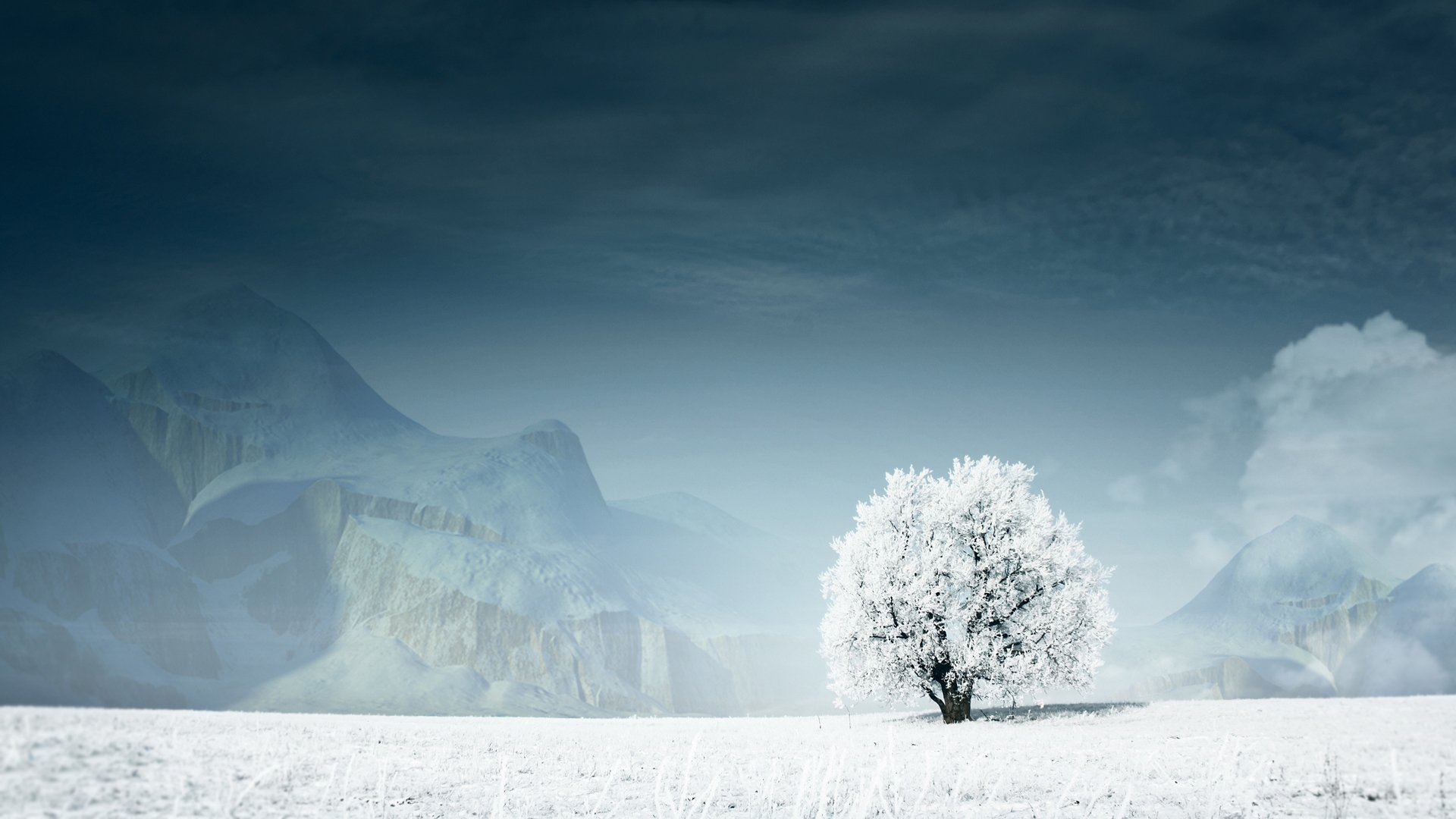 árbol nieve invierno montañas