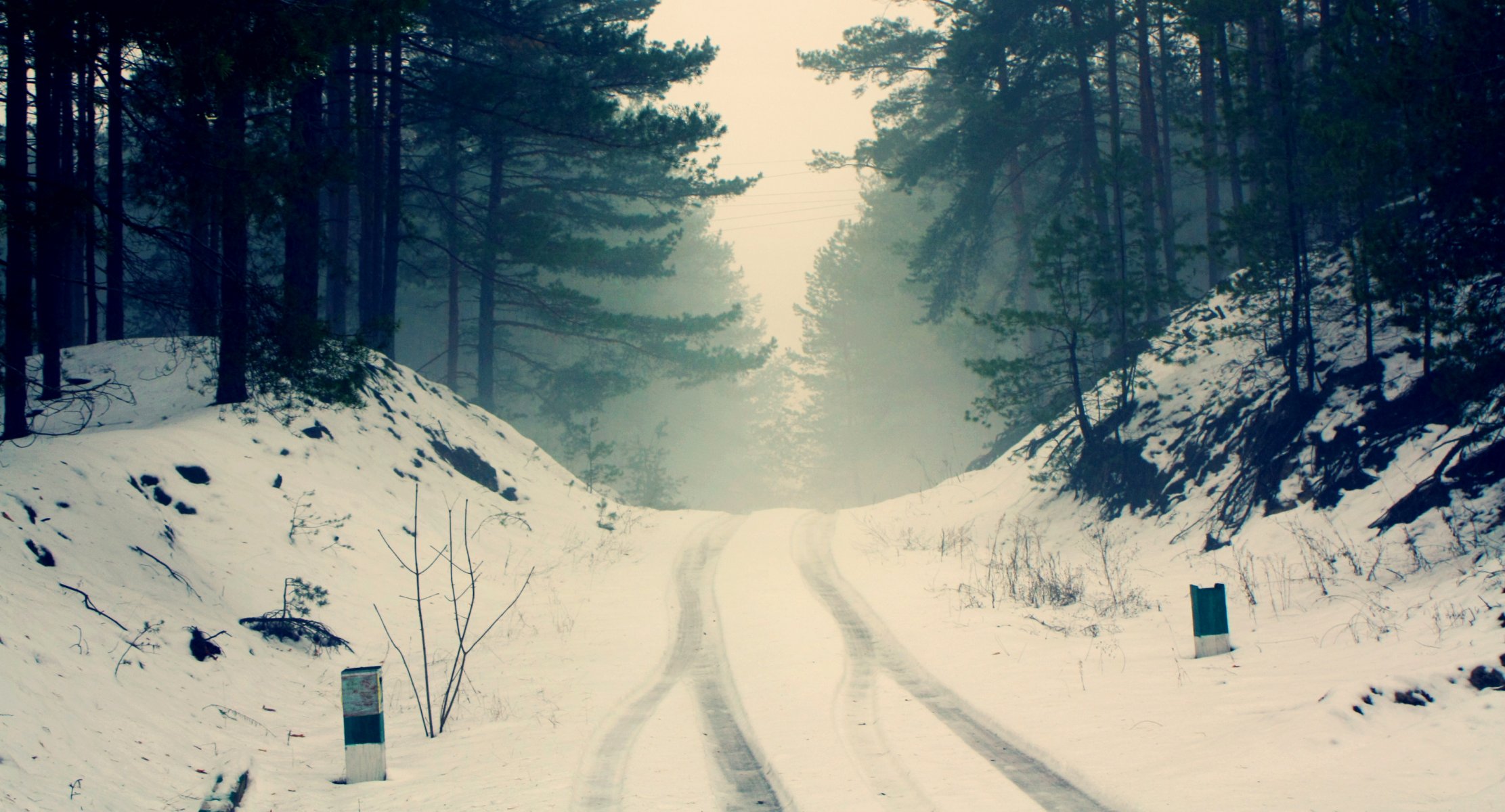 nature winter road wheel tracks forest tree pine branches silhouettes fog haze cool frost snow silence