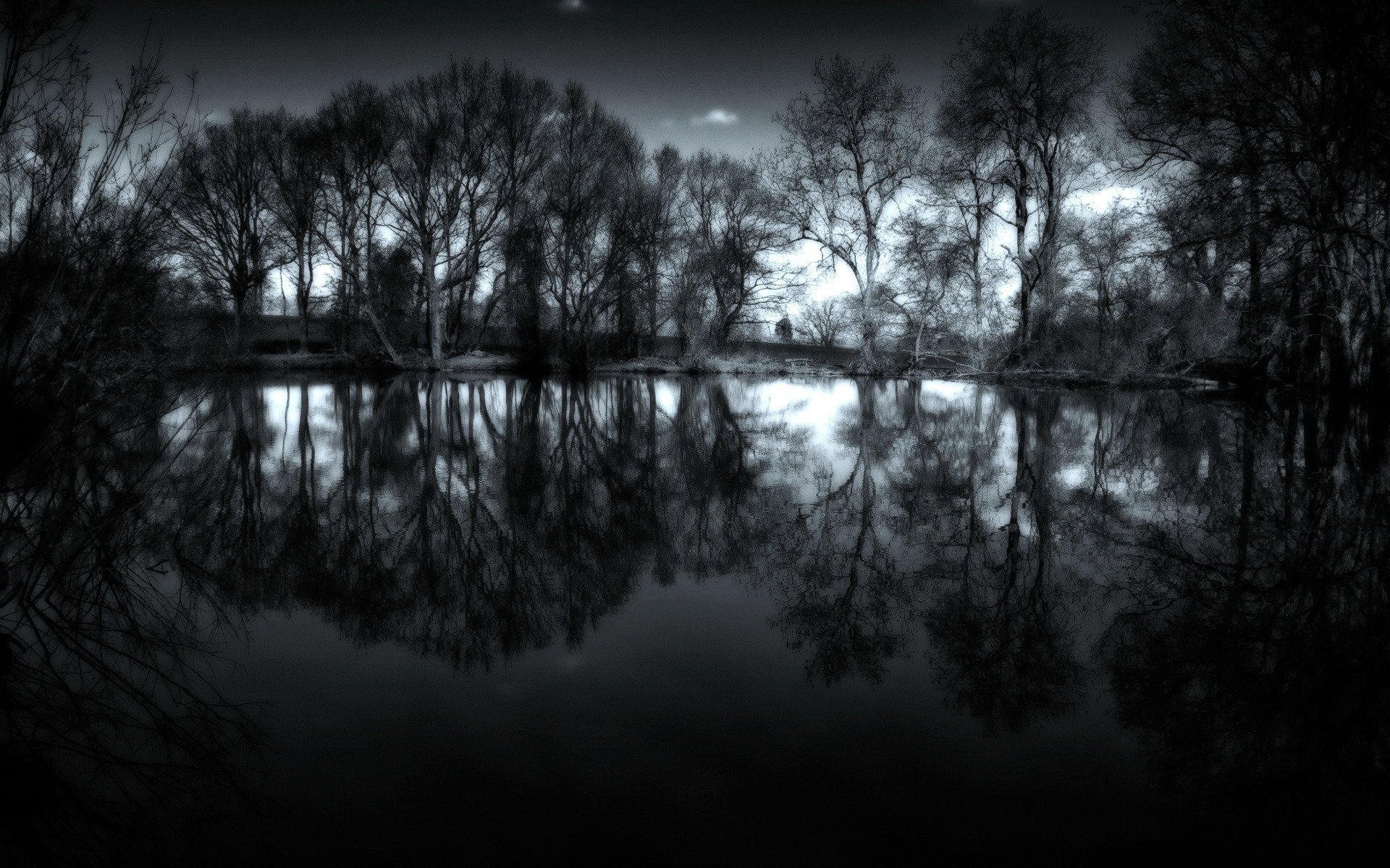 nacht landschaften bäume wasser foto