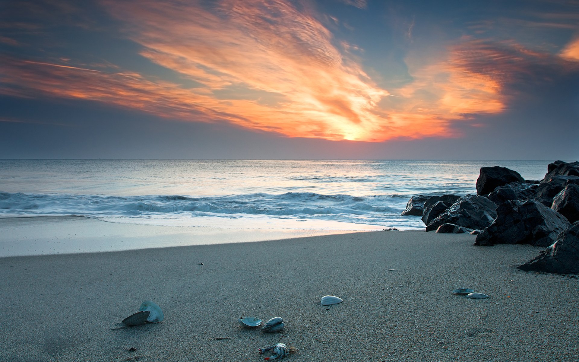 piękno piasek plaże wybrzeże wybrzeże muszla muszle muszla muszle kraby kamień skały zachody słońca niebo niebo woda morze ocean