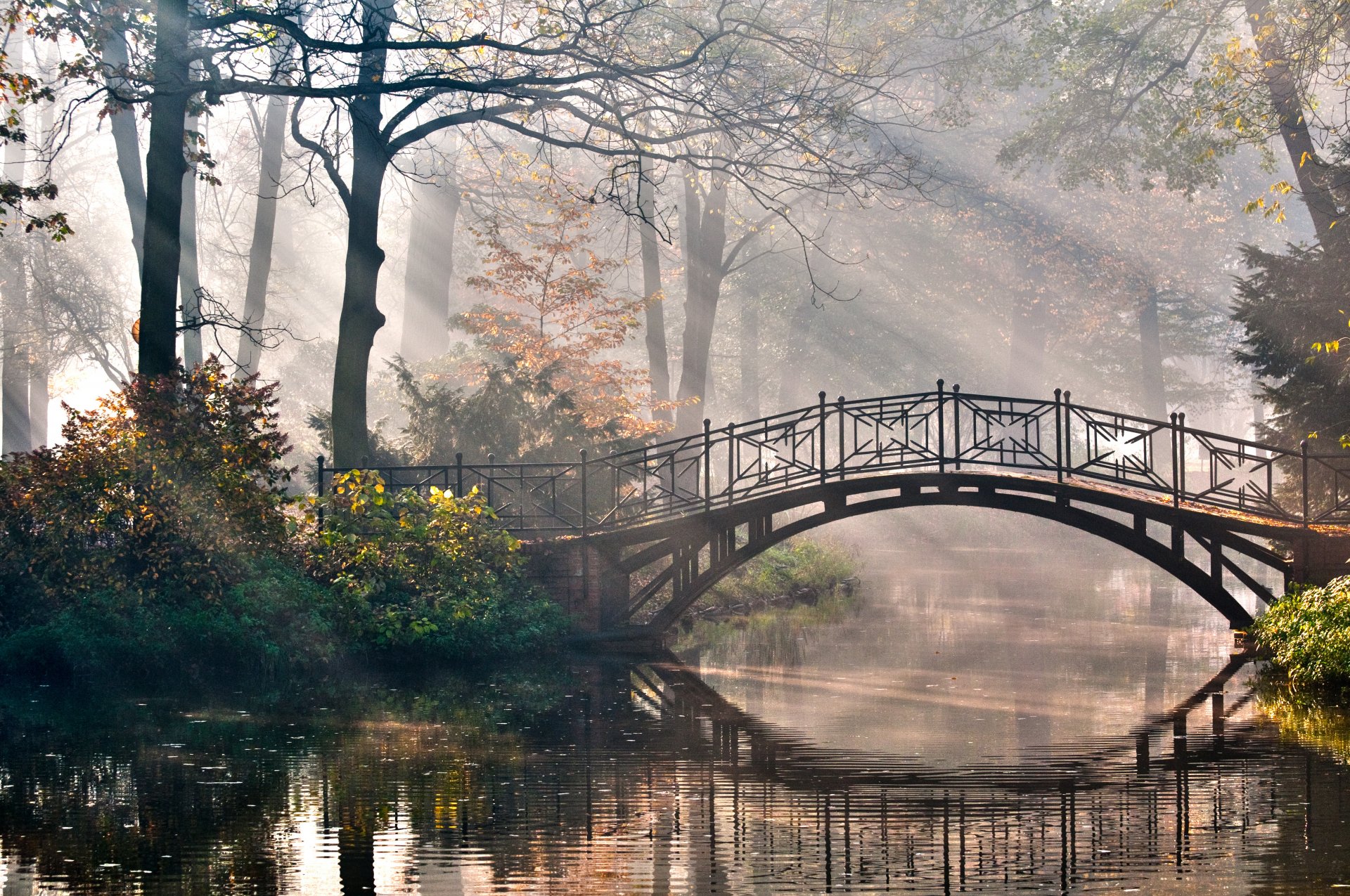 natur park bäume büsche fluss brücke strahlen romantik