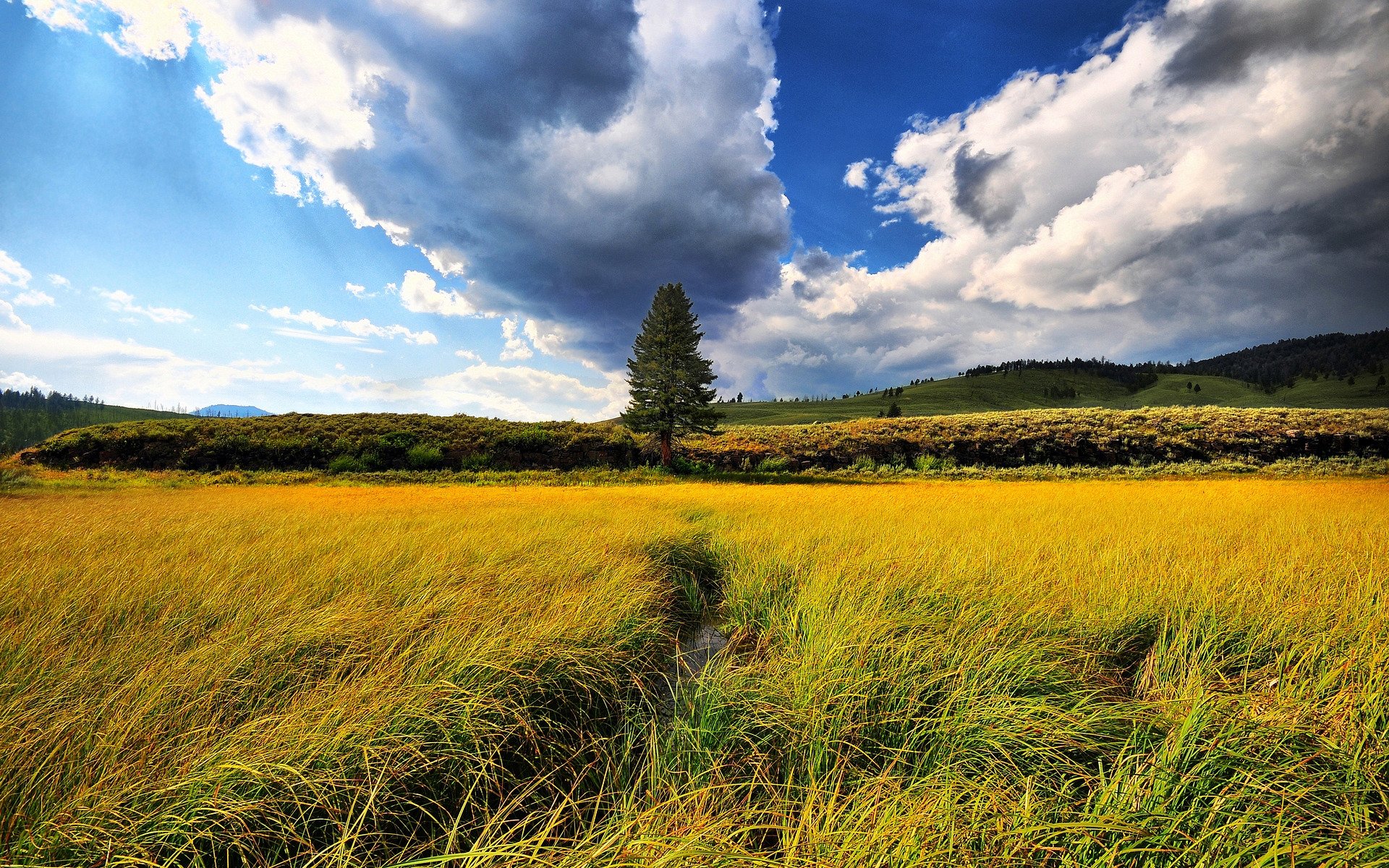 schönheit landschaft natur bäume feld felder gras