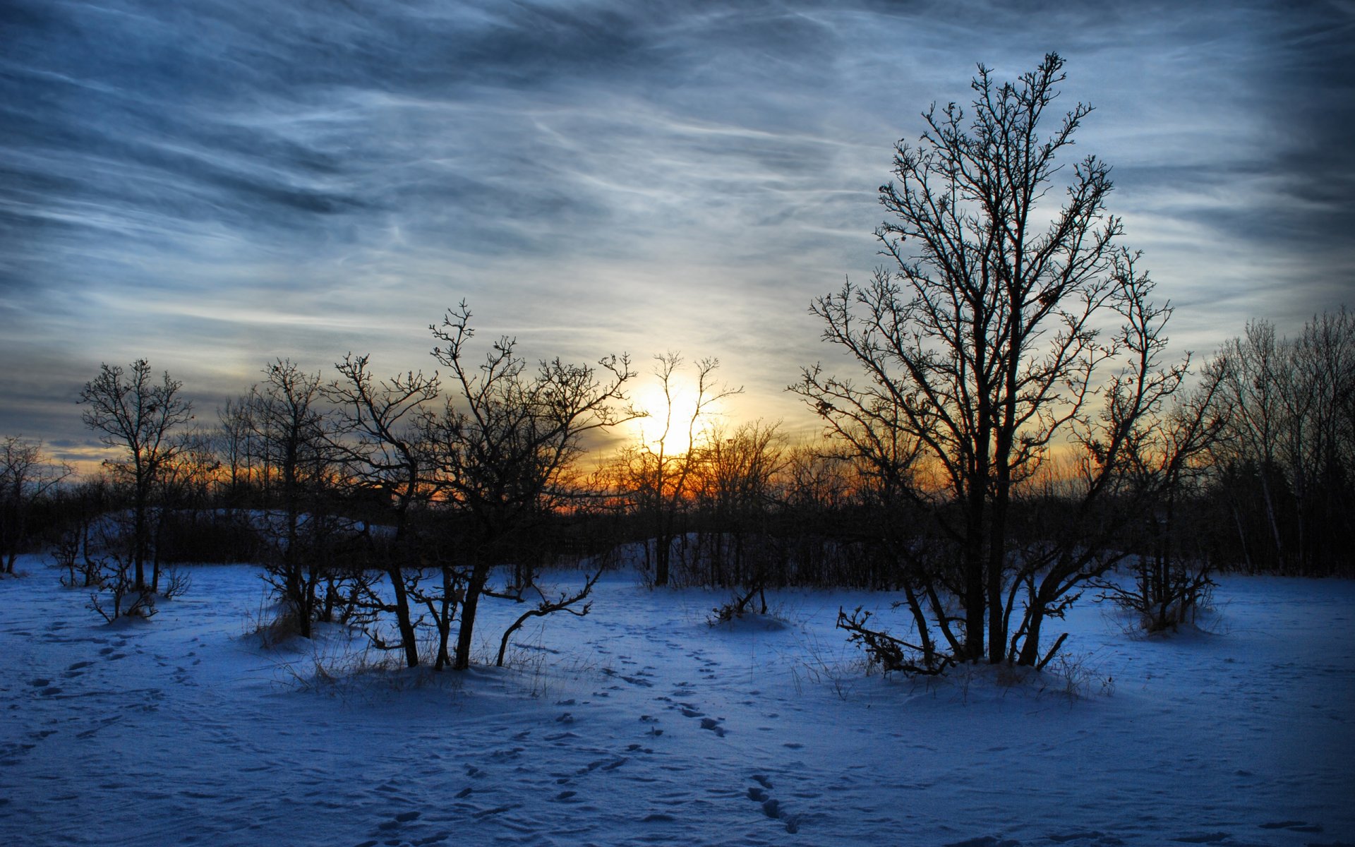 natura paesaggio inverno sera neve maroz tramonto alberi