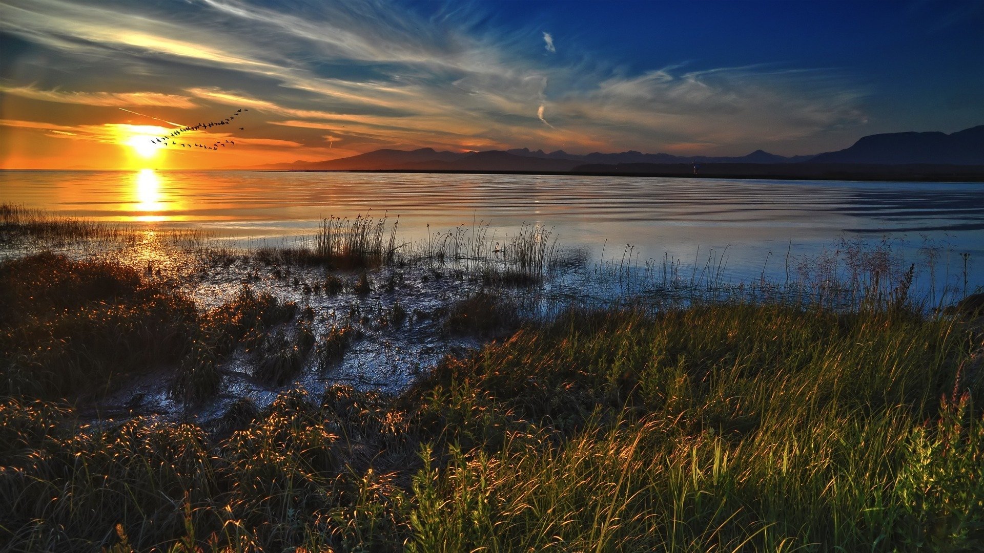 puesta de sol aves agua