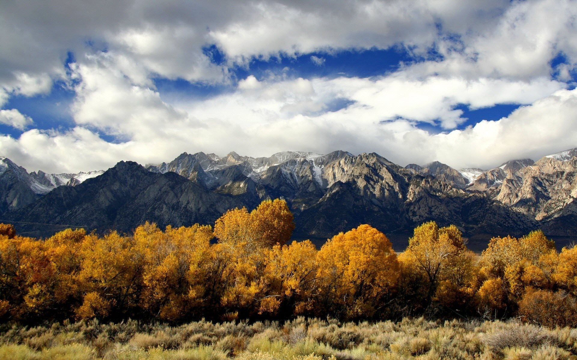 natur bäume landschaften herbst