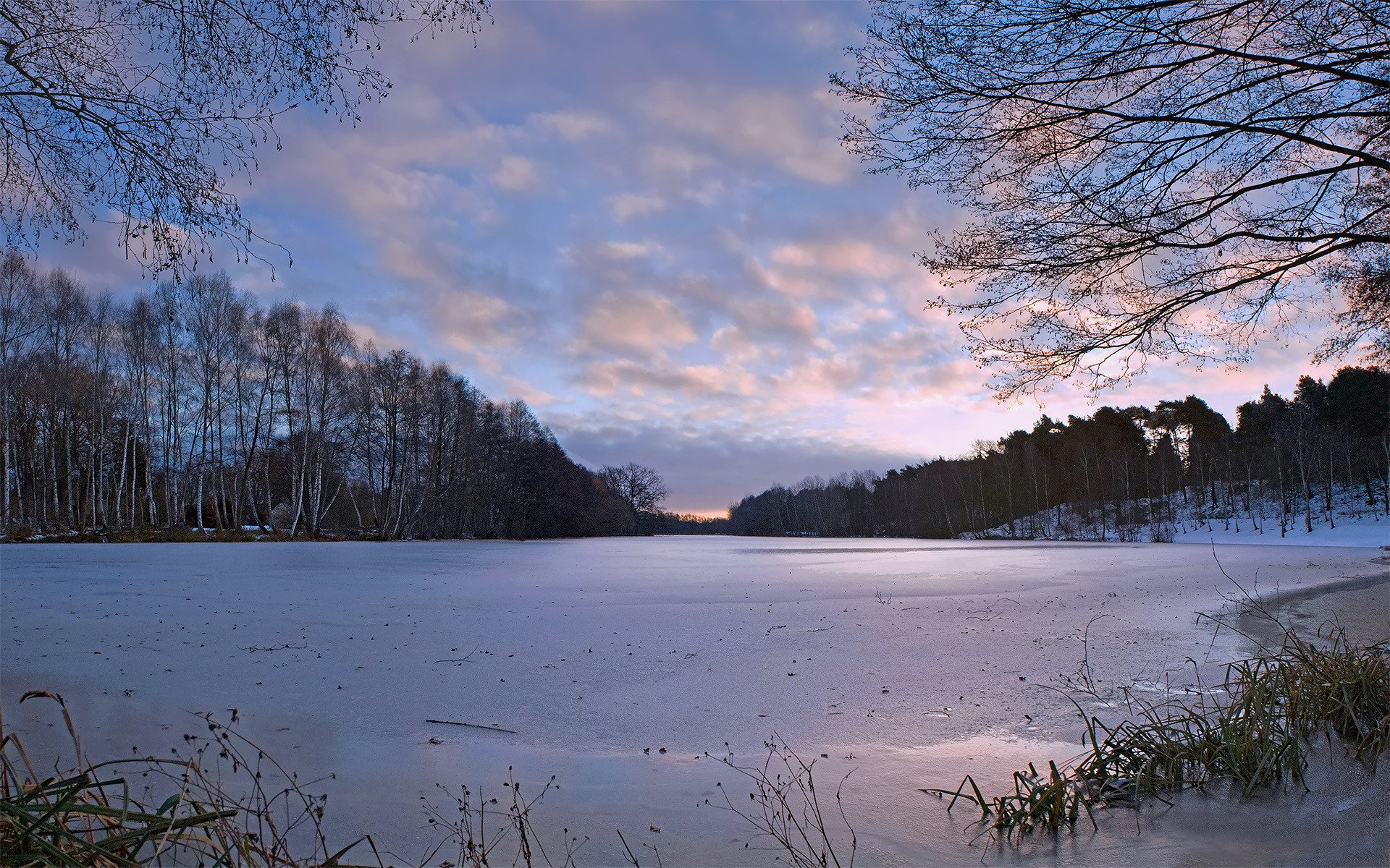 naturaleza invierno árboles río hielo