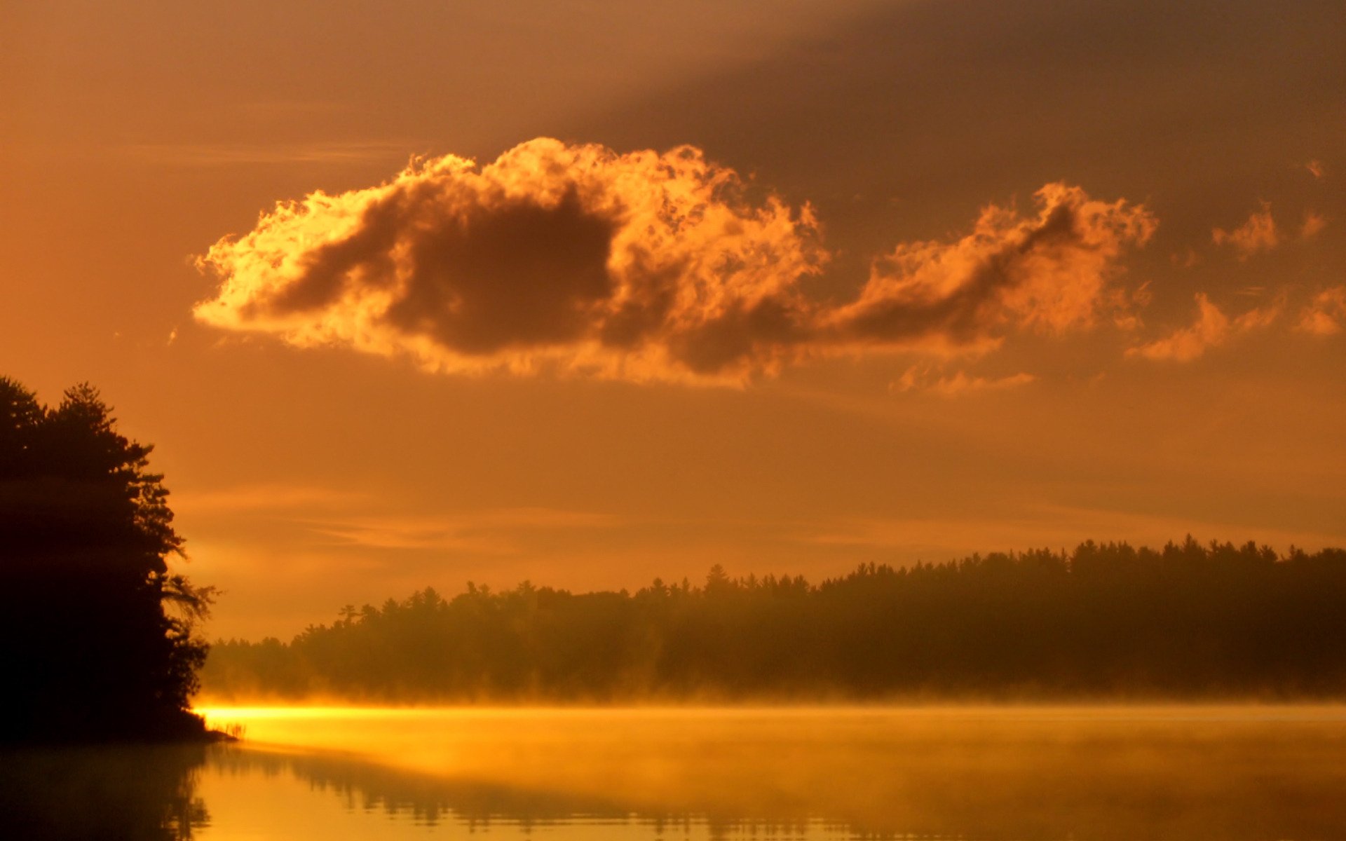 landscape fog water light river lake tree