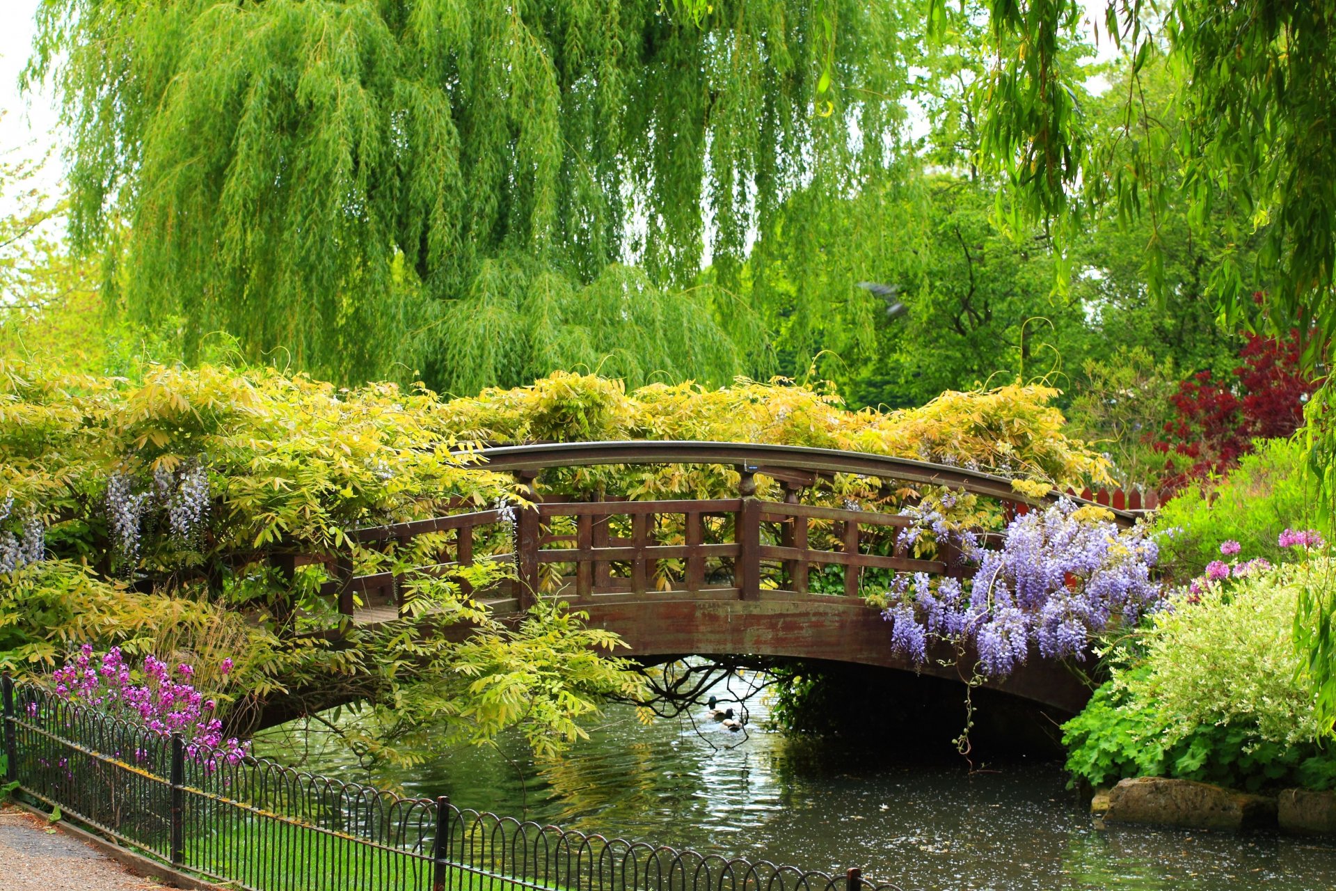 jardin de printemps pont parc beau pont rivière clôture plantes fleurs arbres pleureur saule beauté