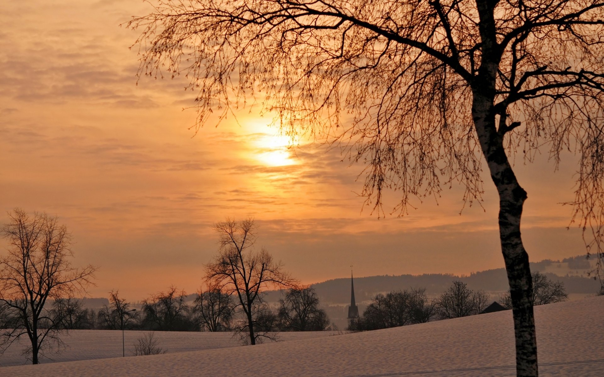 invierno árboles puesta de sol