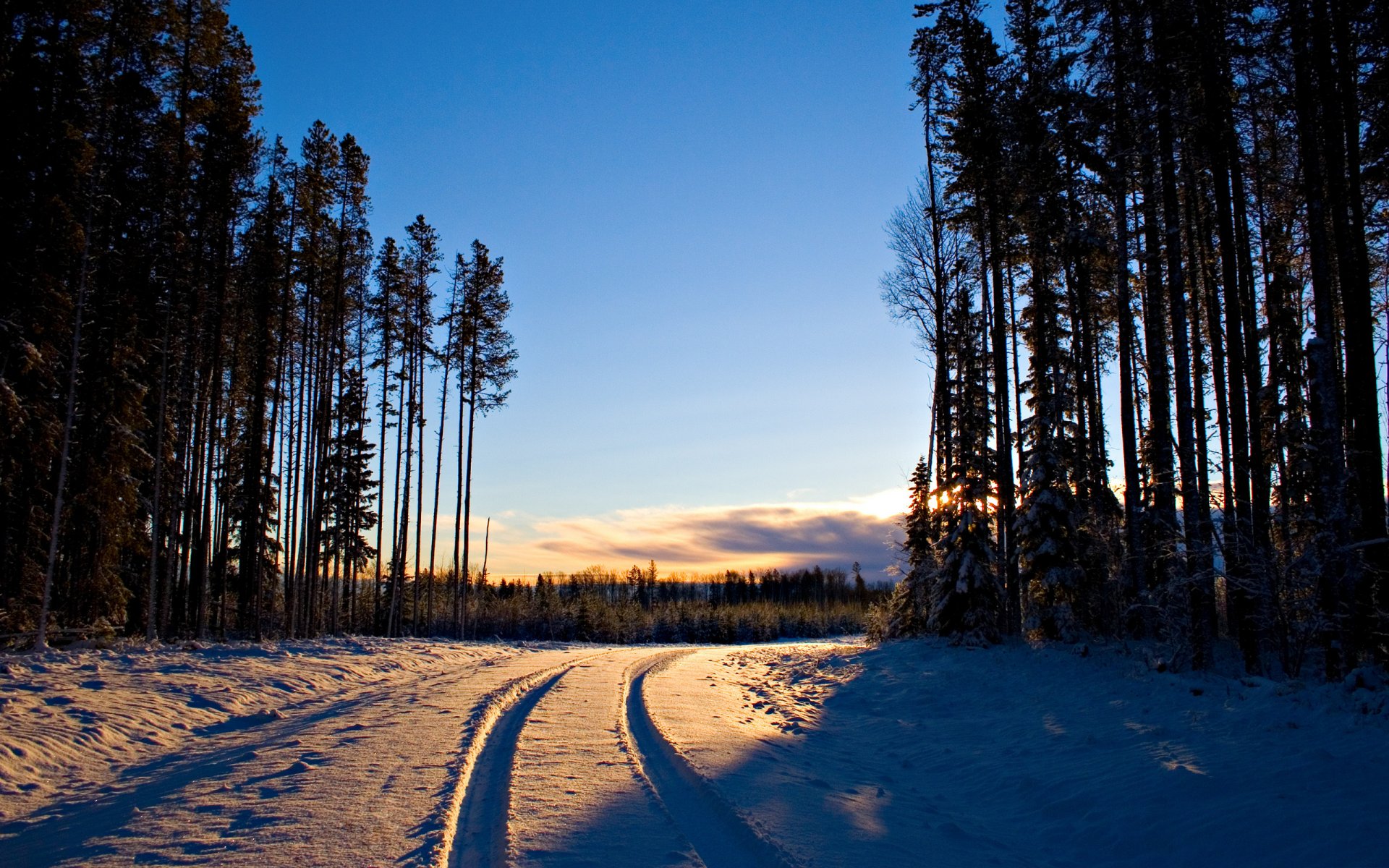 2560x1600 hd parete paesaggio inverno alba neve alberi foresta albero strada strade tracce di luce canon eos 20d