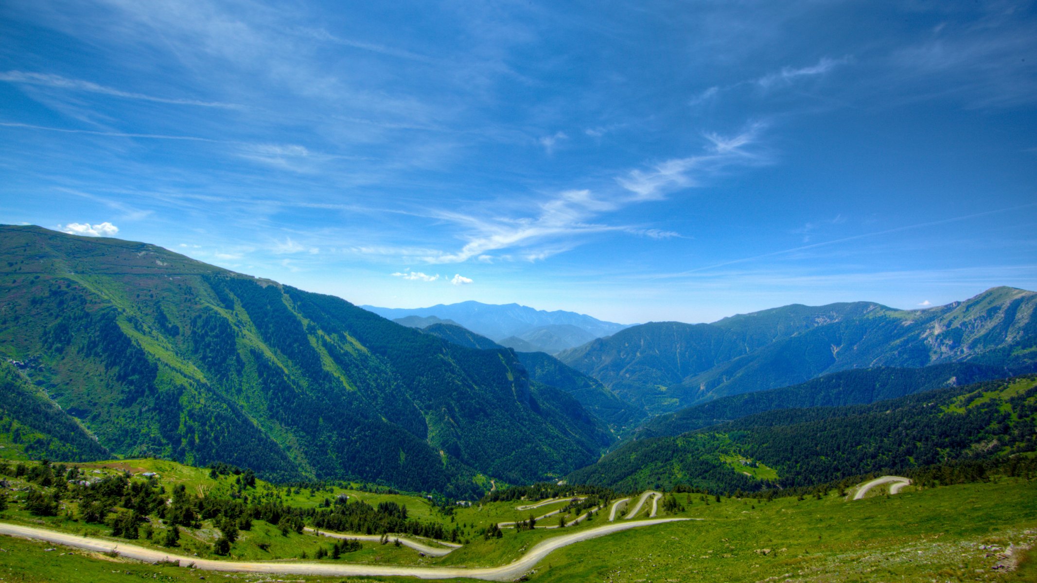 landscape nature forest tree grass places view